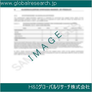 グローバルリサーチ調査資料のイメージ